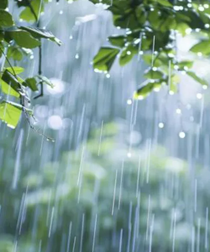 Meteorolojiden 16 il için sarı kodlu alarm!