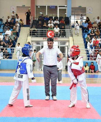 Yeşilyurt'ta minikler tekvando turnuvası düzenlendi