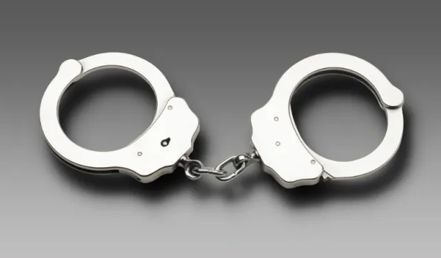 Malatya'da FETÖ operasyonunda 2 zanlı tutuklandı