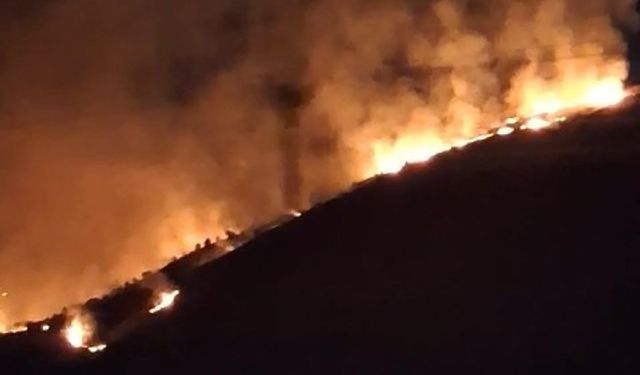 Elazığ’da arazi yangını