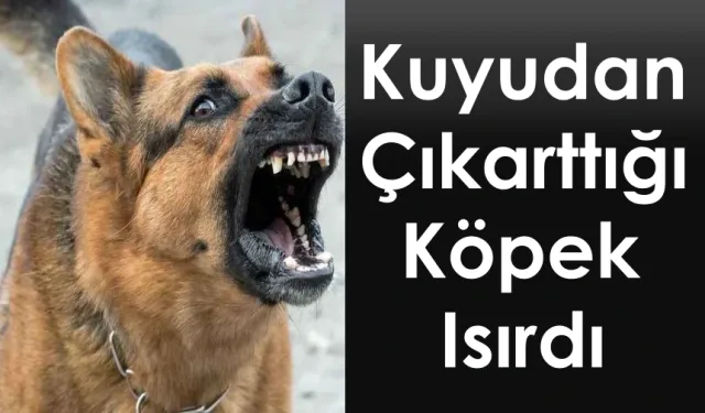Malatya'da itfaiye eri kuyudan kurtardığı köpek tarafından ısırıldı