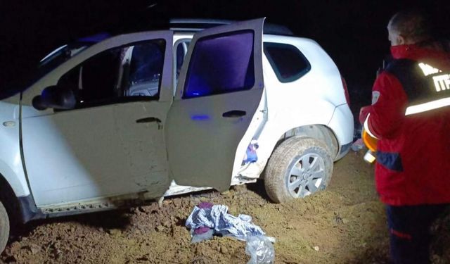Malatya'da şarampole devrilen otomobildeki 2 kişi yaralandı