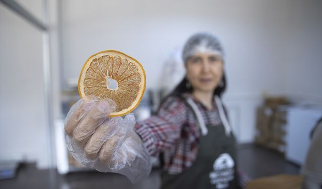 Tunceli'de kurulan meyve sebze kurutma tesisi dar gelirli kadınlara iş kapısı oldu