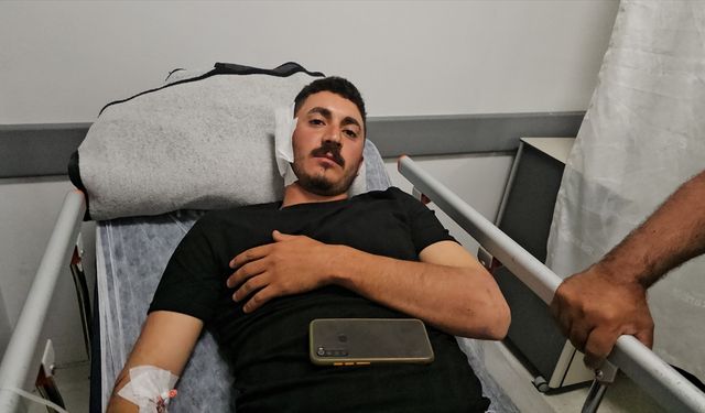 Erzincan'da mantar toplarken ayının saldırısına uğrayan kişi yaralandı