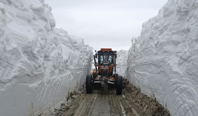 Kar kalınlığının 5 metreyi bulduğu Selim-Göle kara yolu ulaşıma açıldı