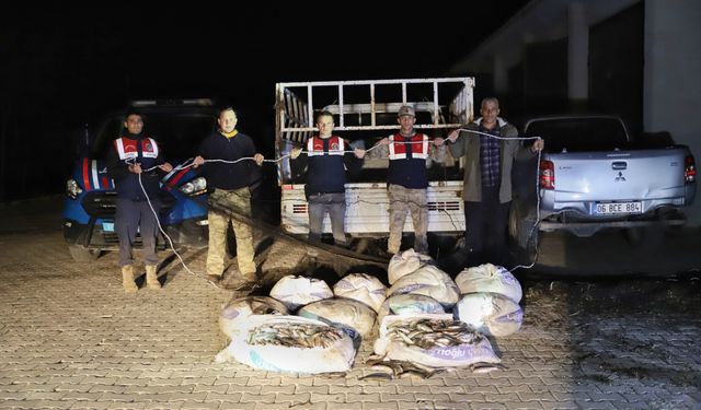 Van'da kaçak avlanmış 1,8 ton inci kefali ele geçirildi