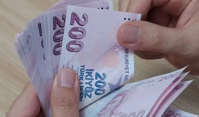 TL'yi güçlendirecek yeni ekonomik adımlar yürürlüğe girdi