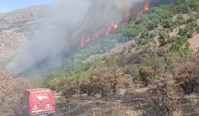 Malatya'da orman yangını