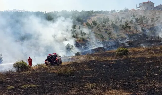 Malatya'da bir orman yangını daha