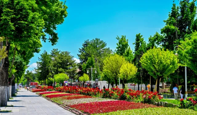Malatya'da parklar ve kavşaklar çiçeklerle süslendi