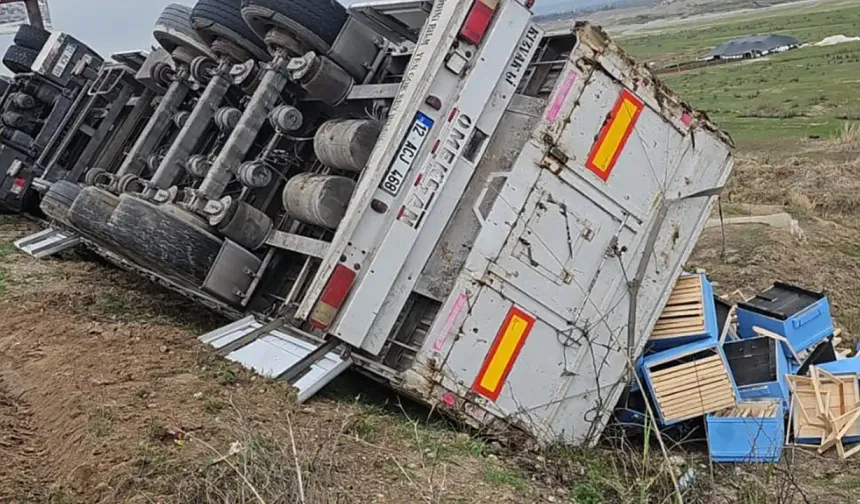 Arı kovanı yüklü tır devrildi: Sürücü yaralandı