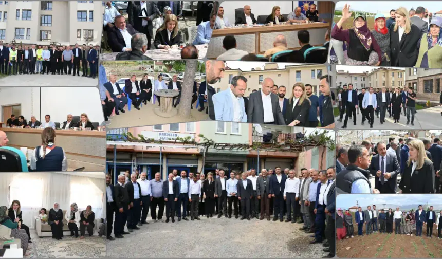Ak Parti Heyeti Doğanşehir'de Çalışmaları Yerinde İnceledi