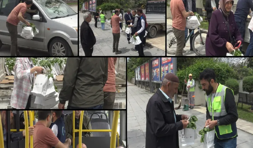 Halka ücretsiz fide dağıtıldı
