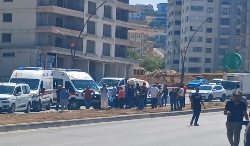 Kamyonet aydınlatma direğine çarptı: 2 yaralı