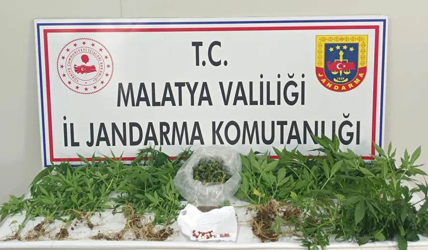 Narkotik Operasyonlarında Çok Sayıda Gözaltı