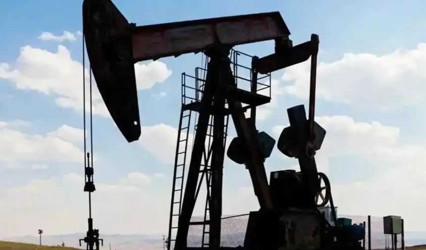 Petrol fiyatlarında sınırlı geri çekilme: Brent 66,24 dolarda