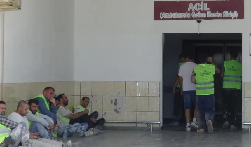 Malatya'da baraka yangını