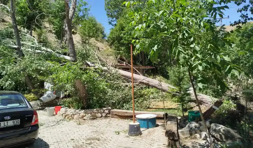 Malatya'da şiddetli fırtına: Ağaçlar devrildi çatılar uçtu