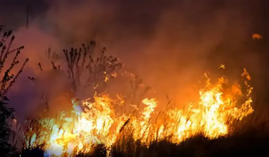 Bakan Yerlikaya: Yangınlardan zarar görenlere 21,6 milyon TL ödeme yapıldı