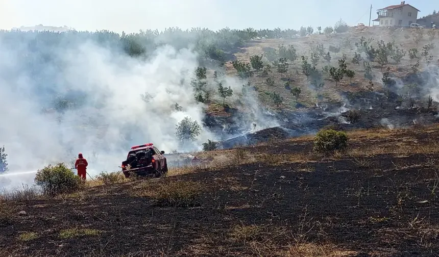 Malatya'da bir orman yangını daha