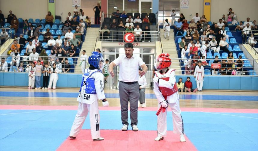 Yeşilyurt'ta minikler tekvando turnuvası düzenlendi